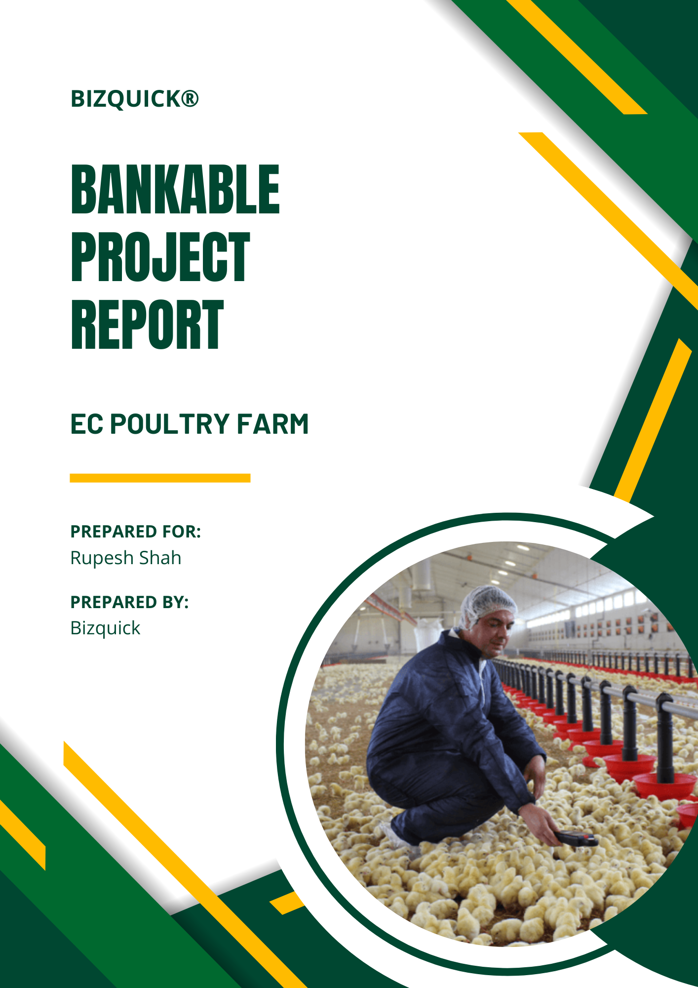 Bankable Project Report