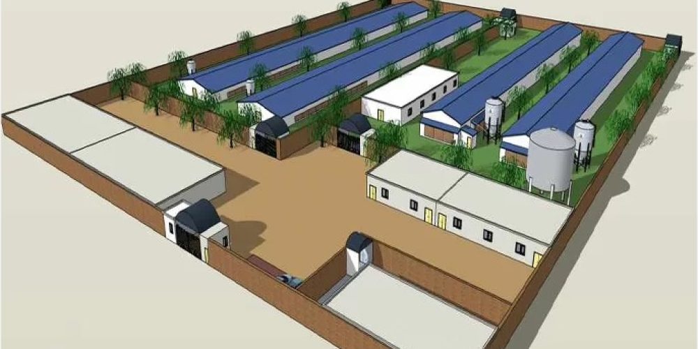 Financed Poultry Farm