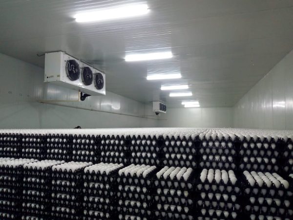 cold-storage-room